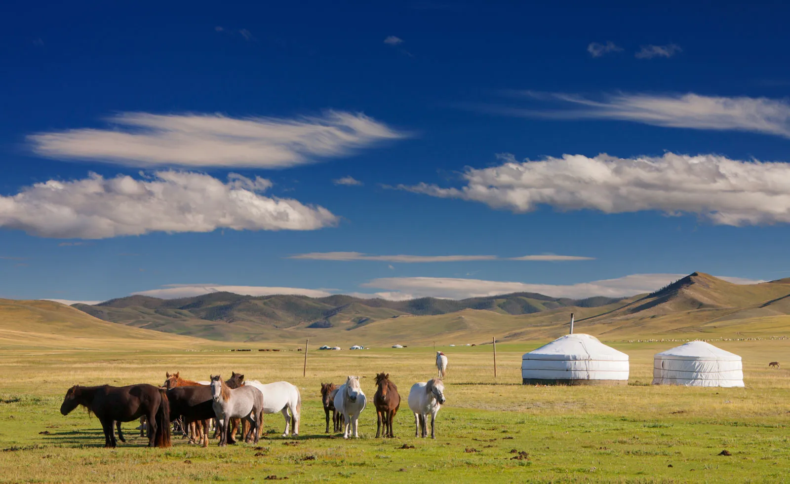 Mountain Biking Mongolia