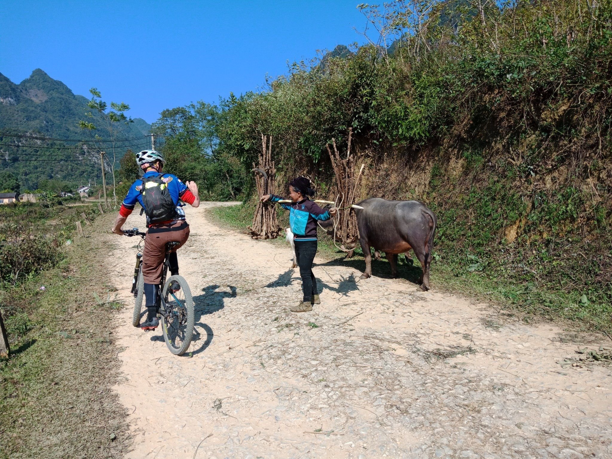 Sapa mountain biking tour & trekking - 2 days/ 1 night